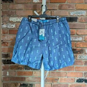 Blue Pineapple Print Swim Shorts
